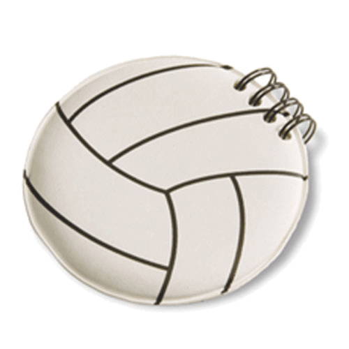 Volleyball Gifts